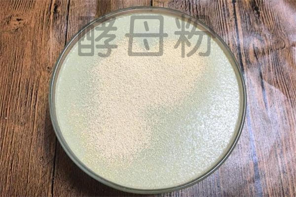 酵母粉_振動(dòng)篩_直線振動(dòng)篩